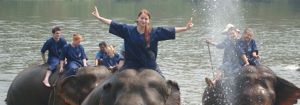 Wide 360 thailand 2014 stud bathingelephants